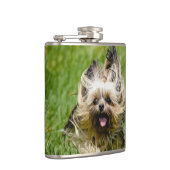 Cute Yorkshire Terrier Running Through Grass Flachmann (Rechts)