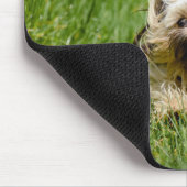 Cute Yorkshire Terrier Running Through Grass Mousepad (Ecke)