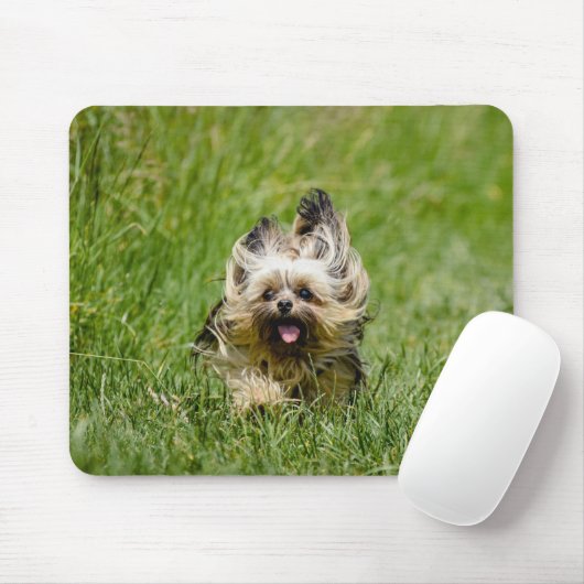 Cute Yorkshire Terrier Running Through Grass Mousepad (Mit Mouse)