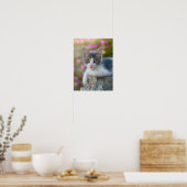 Cute Young Bicolor Cat Kitten Flowers Pet Photo - Poster (Küche)