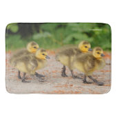 Cuteness on Parade: Kanada Goose Goslings Badematte (Vorderseite)