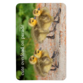 Cuteness on Parade: Kanada Goose Goslings Magnet (Vertikal)