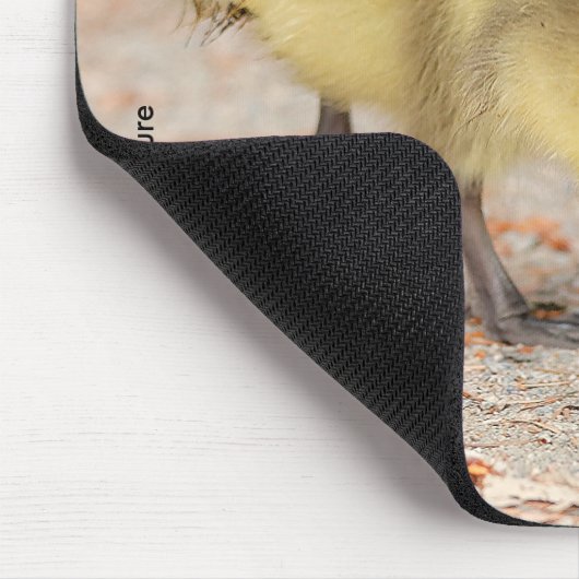 Cuteness on Parade: Kanada Goose Goslings Mousepad (Ecke)