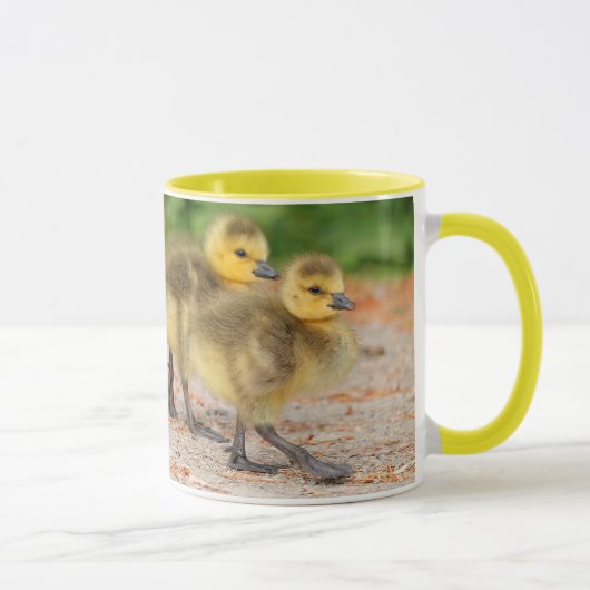 Cuteness on Parade: Kanada Goose Goslings Tasse (Rechts)
