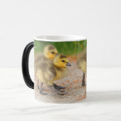 Cuteness on Parade: Kanada Goose Goslings Tasse (Vorderseite Links)