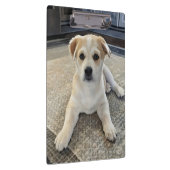 Cuteness Puppy Overload Clipboard Klemmbrett (Rechts)