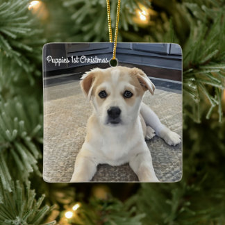 Cuteness Puppy Overload Ornament