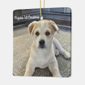Cuteness Puppy Overload Ornament (Links)