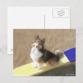 CuteShetland Schäferhund, der auf einer Schaukel Postkarte (Vorne/Hinten)