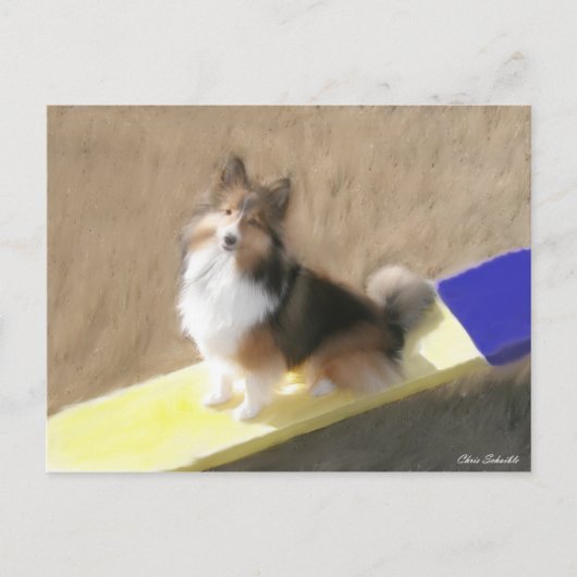 CuteShetland Schäferhund, der auf einer Schaukel Postkarte (Vorderseite)
