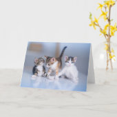Cutest Baby Animals | 3 Tabby Kittens Karte (Gelbe Blume)