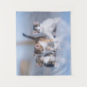 Cutest Baby Animals | 3 Tabby Kittens Wandteppich (Vorderseite)