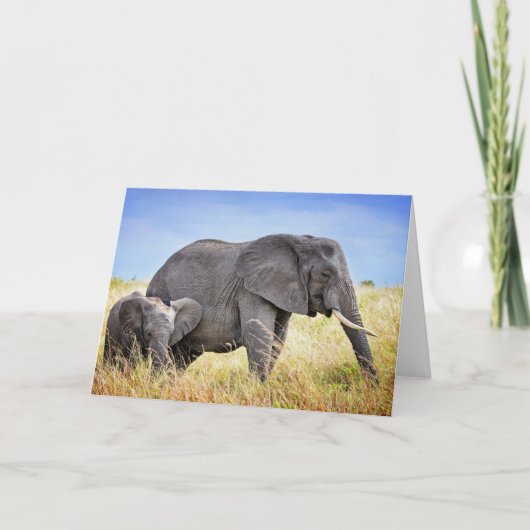 Cutest Baby Animals | African Elephant & Mother Karte (Vorderseite)