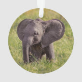 Cutest Baby Animals | Baby Elephant Kenya Africa Ornament (Rückseite)