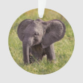 Cutest Baby Animals | Baby Elephant Kenya Africa Ornament (Vorderseite)