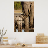 Cutest Baby Animals | Baby Elephant & Mama Poster (Küche)