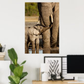 Cutest Baby Animals | Baby Elephant & Mama Poster (Heimbüro)