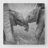 Cutest Baby Animals | Baby Elephants Greeting Quadratische Wanduhr (Vorderseite)