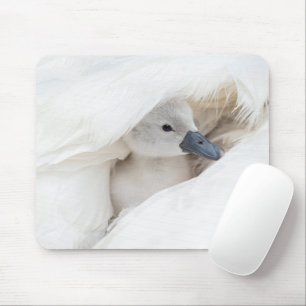 Cutest Baby Animals Baby Mute Swan Mousepad
