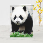 Cutest Baby Animals | Baby Panda Bear Karte (Gelbe Blume)