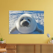 Cutest Baby Animals | Baby Seal Leinwanddruck (Insitu (Wohnzimmer))