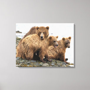Cutest Baby Animals   Bear & Cubs Leinwanddruck