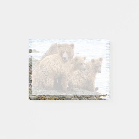 Cutest Baby Animals | Bear & Cubs Post-it Klebezettel (Vorderseite)
