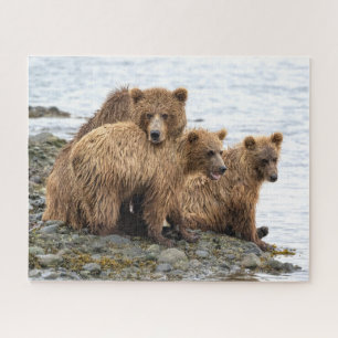 Cutest Baby Animals   Bear & Cubs Puzzle
