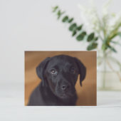 Cutest Baby Animals | Black Labrador Puppy Postkarte (Stehend Vorderseite)