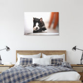 Cutest Baby Animals | Black & White Kitten Leinwanddruck (Insitu (Schlafzimmer))