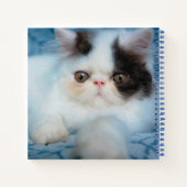 Cutest Baby Animals | Black & White Kitten Notizblock (Rückseite)