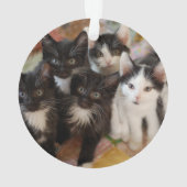 Cutest Baby Animals | Black & White Kittens Ornament (Rückseite)