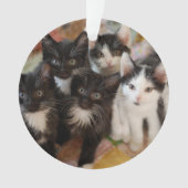 Cutest Baby Animals | Black & White Kittens Ornament (Vorderseite)