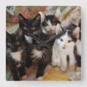 Cutest Baby Animals | Black & White Kittens Quadratische Wanduhr (Vorderseite)