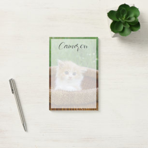 Cutest Baby Animals   Blue Eyed Kitten Post-it Klebezettel