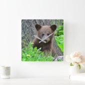 Cutest Baby Animals | Brown Bear Cub Quadratische Wanduhr (Zuhause)
