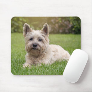 Cutest Baby Animals   Cairn Terrier Dog Mousepad