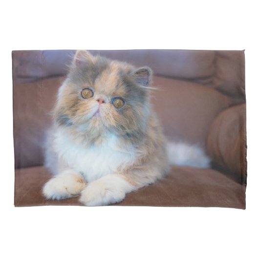 Cutest Baby Animals | Calico Persian Kitten Kissenbezug (Vorderseite)