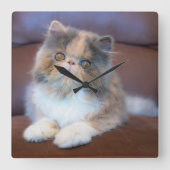 Cutest Baby Animals | Calico Persian Kitten Quadratische Wanduhr (Vorderseite)