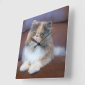 Cutest Baby Animals | Calico Persian Kitten Quadratische Wanduhr (Winkel)