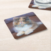 Cutest Baby Animals | Calico Persian Kitten Rechteckiger Pappuntersetzer (angewinkelt)