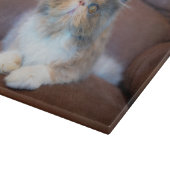 Cutest Baby Animals | Calico Persian Kitten Schneidebrett (Ecke)