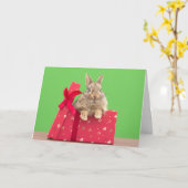 Cutest Baby Animals | Christmas Holiday Bunny Karte (Gelbe Blume)