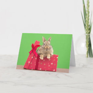 Cutest Baby Animals   Christmas Holiday Bunny Karte