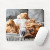 Cutest Baby Animals | Cocker Spaniel Mousepad (Mit Mouse)