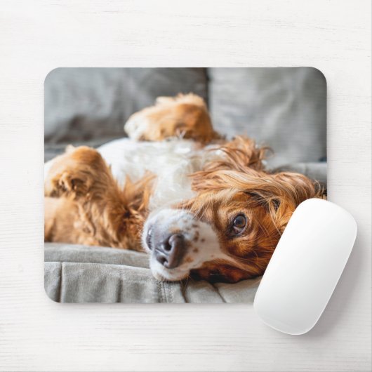 Cutest Baby Animals | Cocker Spaniel Mousepad (Mit Mouse)