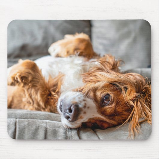 Cutest Baby Animals | Cocker Spaniel Mousepad (Vorne)