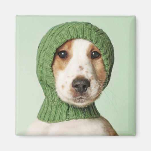 Cutest Baby Animals | Cocker Spaniel Puppy Magnet (Vorne)