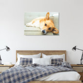 Cutest Baby Animals | Corgi Puppy on Couch Leinwanddruck (Insitu (Schlafzimmer))