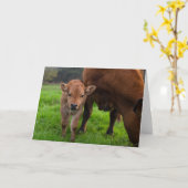 Cutest Baby Animals | Cow & Calf Karte (Gelbe Blume)